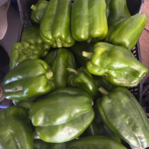 Pimiento verde (kgr)